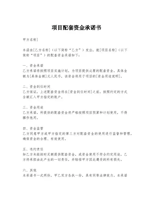 项目配套资金承诺书