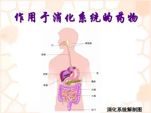 作用于消化系统的药物