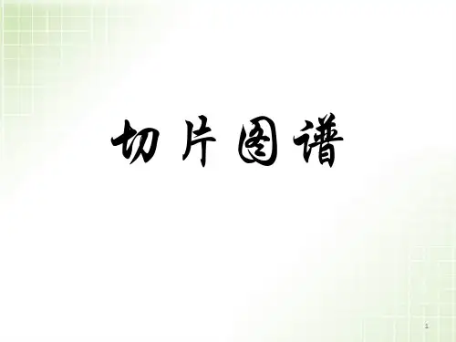 病理切片图精品PPT课件