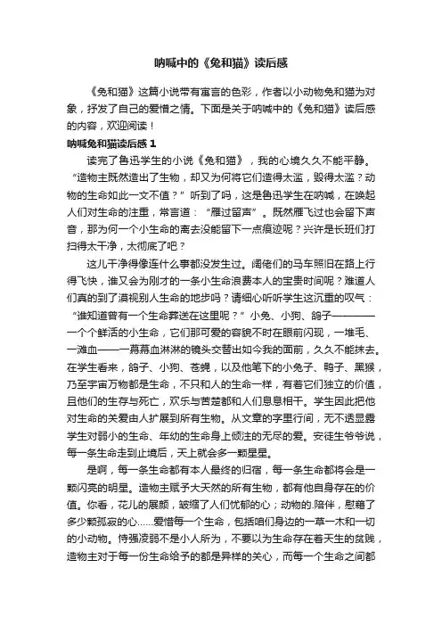 呐喊中的《兔和猫》读后感