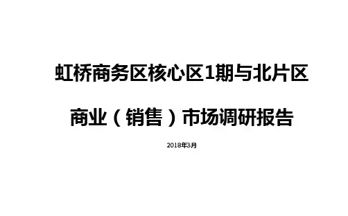 虹桥商务区商业市场调研报告