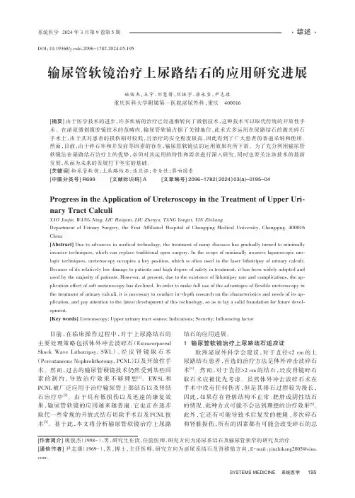 输尿管软镜治疗上尿路结石的应用研究进展