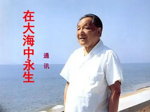 在大海中永生(第2课时)