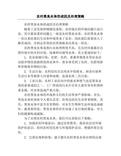 农村黑臭水体的成因及治理策略