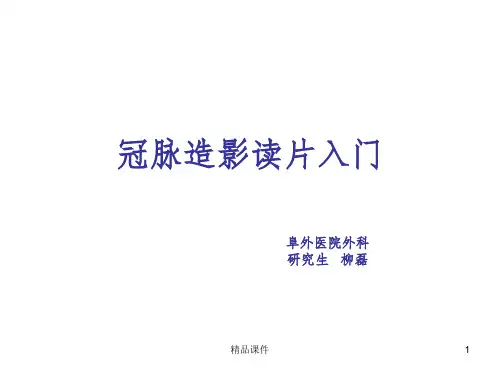 冠脉造影读片入门ppt课件