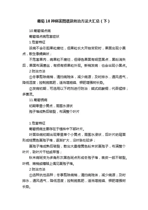 葡萄18种病害图谱及防治方法大汇总（下）