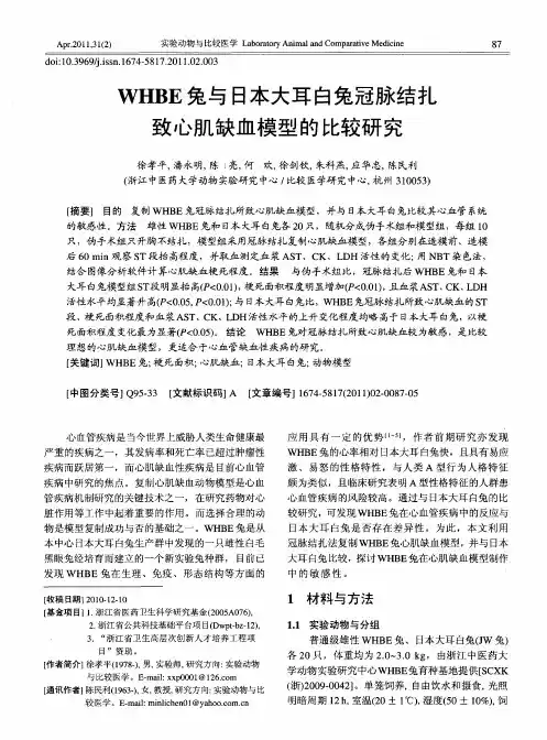 WHBE兔与日本大耳白兔冠脉结扎致心肌缺血模型的比较研究