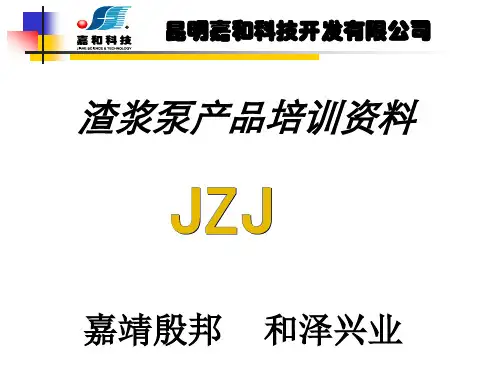渣浆泵JZJ(9.28)