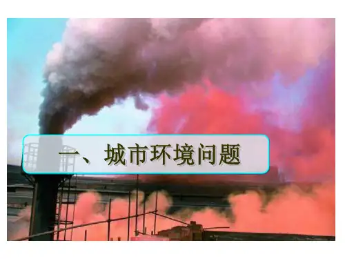 创森宣传主题班会课件