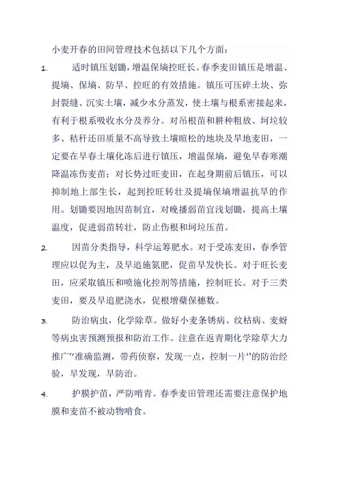 小麦开春田间管理