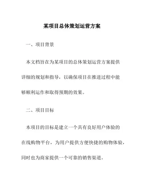 某项目总体策划运营方案