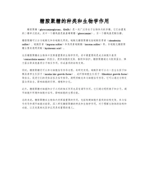糖胺聚糖的种类和生物学作用