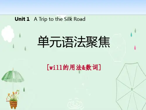 《单元语法聚焦》A Trip to the Silk Road PPT