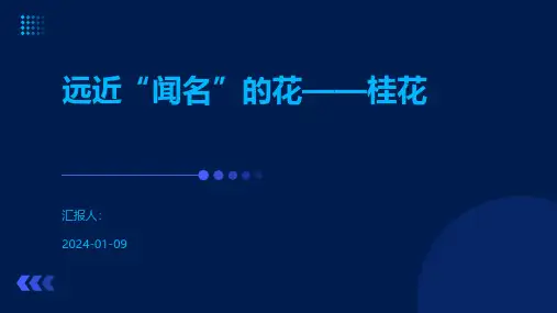 远近“闻名”的花——桂花