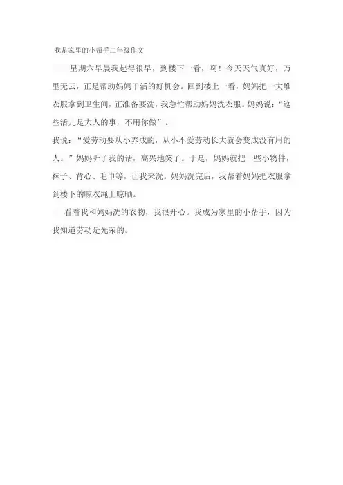 我是家里的小帮手二年级作文