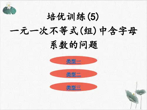 培优训练人教版七年级数学下册5ppt
