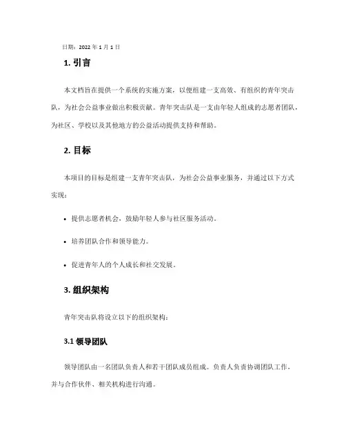 青年突击队实施方案