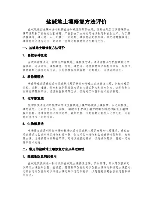 盐碱地土壤修复方法评价
