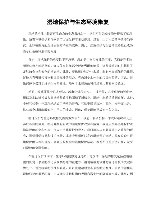 湿地保护与生态环境修复
