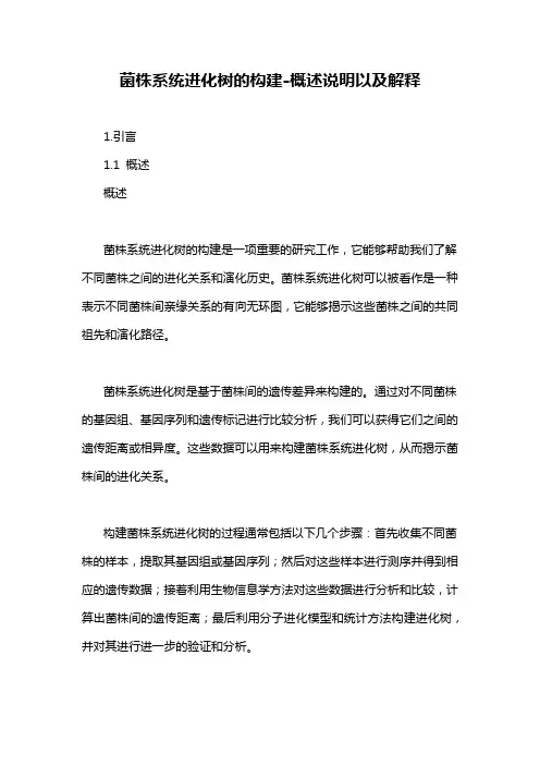 菌株系统进化树的构建-概述说明以及解释