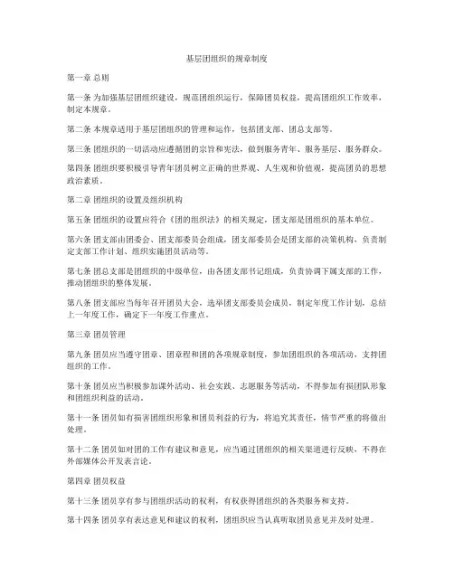 基层团组织的规章制度