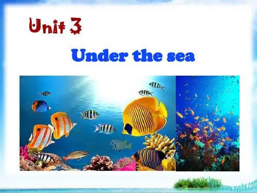 人教版选修7Unit3UndertheseaLanguagepoints课件