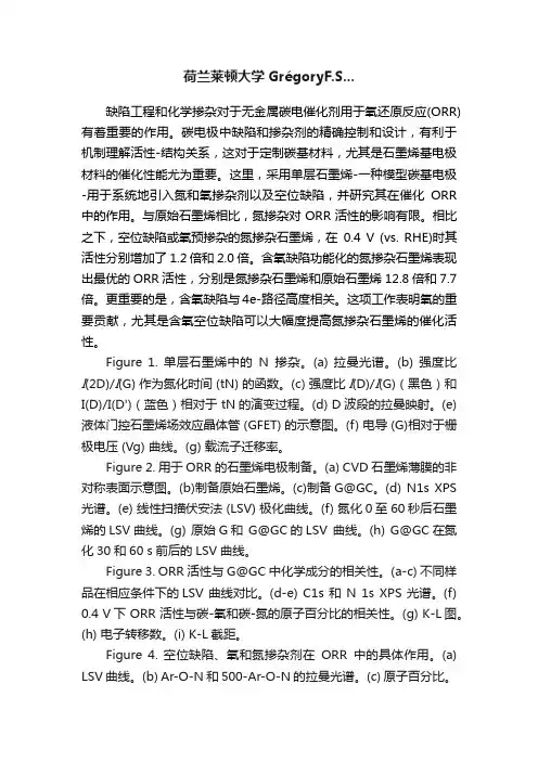 荷兰莱顿大学GrégoryF.S...