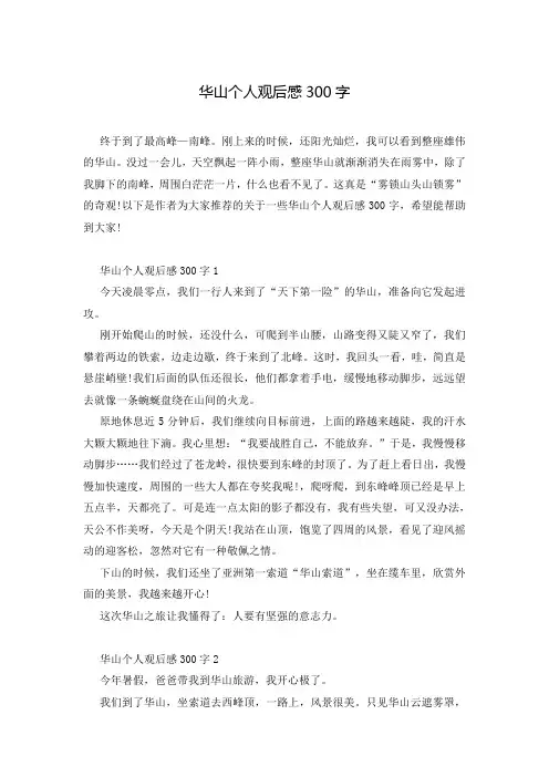 华山个人观后感300字