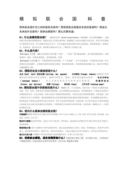 模    拟    联    合    国     科    普