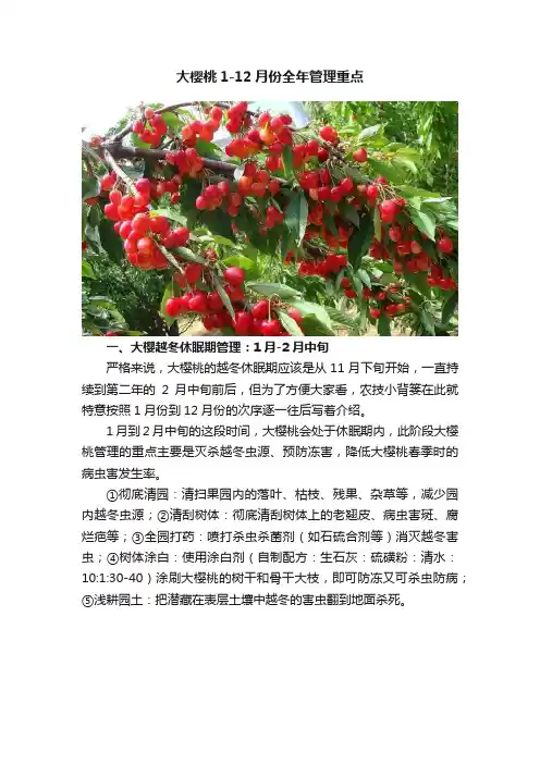 大樱桃1-12月份全年管理重点