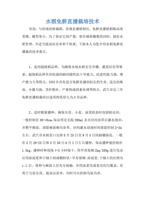 水稻免耕直播栽培技术