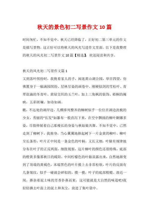 秋天的景色初二写景作文10篇