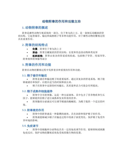 动物附睾的作用和功能主治