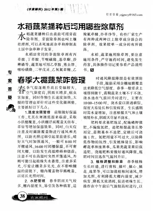 春季大棚蔬菜咋管理