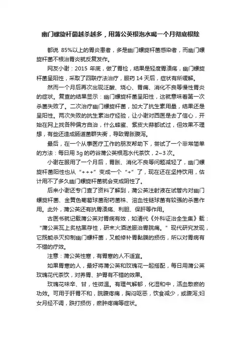 幽门螺旋杆菌越杀越多，用蒲公英根泡水喝一个月彻底根除