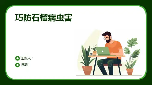 巧防石榴病虫害