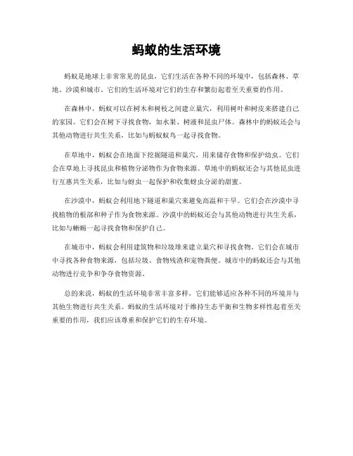 蚂蚁的生活环境
