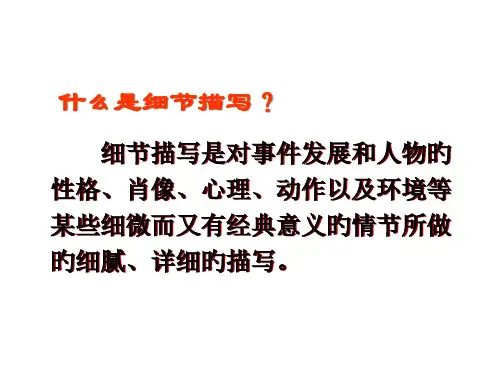 写作细致描写省名师优质课赛课获奖课件市赛课一等奖课件