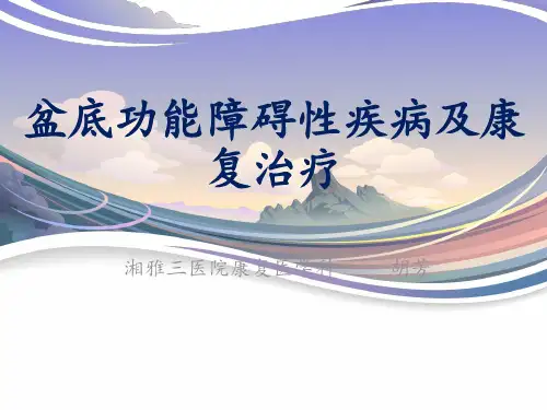 盆底功能障碍及康复治疗PPT课件