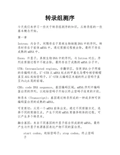 转录组测序