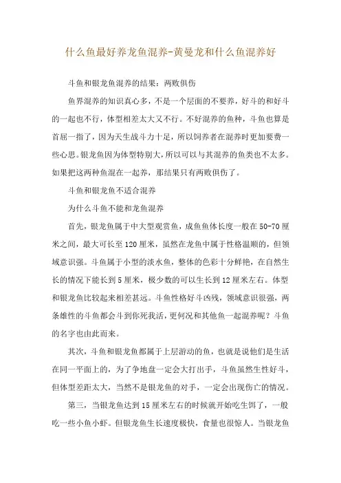 什么鱼最好养龙鱼混养-黄曼龙和什么鱼混养好