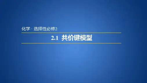 高三化学课件2.1共价键模型