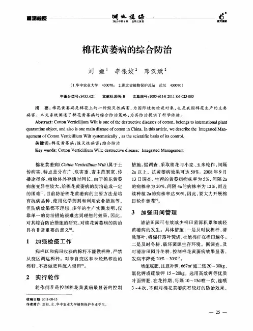 棉花黄萎病的综合防治