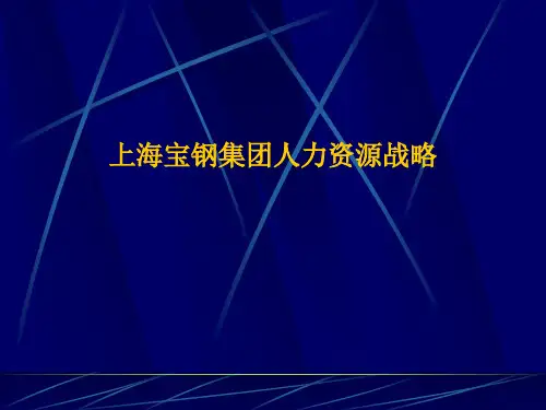 上海宝钢集团人力资源战略(PPT 16页)