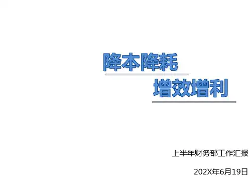 降本降耗增效增利财务工作总结PPT模板