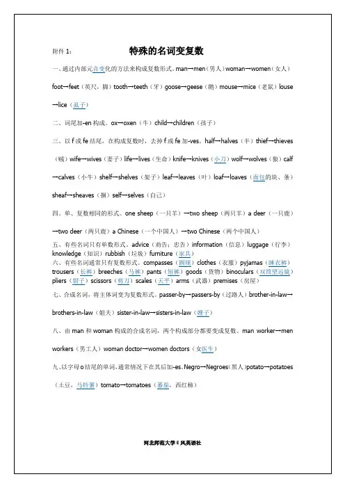 特殊名词变复数