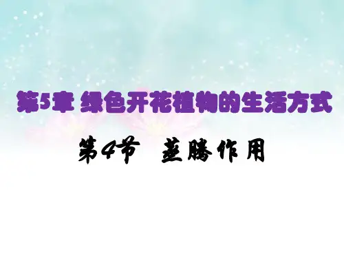 北师大版七年级生物上册 蒸腾作用 课件  