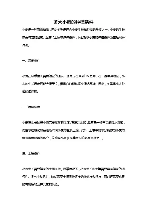 冬天小麦的种植条件