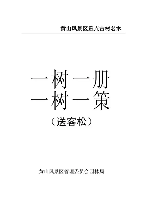黄山风景区重点古树名木