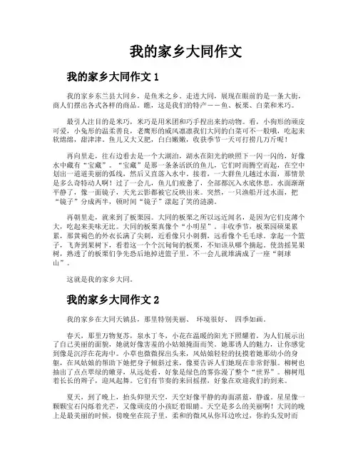 我的家乡大同作文